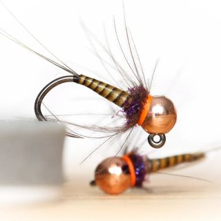 The latest pattern to our quill nymph collection, golden olive body, purple thorax and hot orange collar is my go to...
