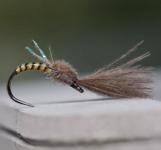 Olive quill emerger size 16-20 has been recently replenished 👍 FSE091 tied on K620BL 💯 .... #flyshopeurope #kypehooks...