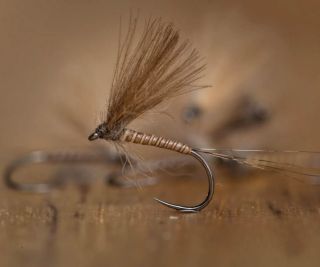 This dry fly dun was among the first flies added to our fly collection seven years ago. It features a simple CDC wing and...